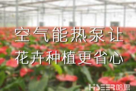 空氣能熱泵讓花卉種植更省心，優(yōu)品率可達90%以上